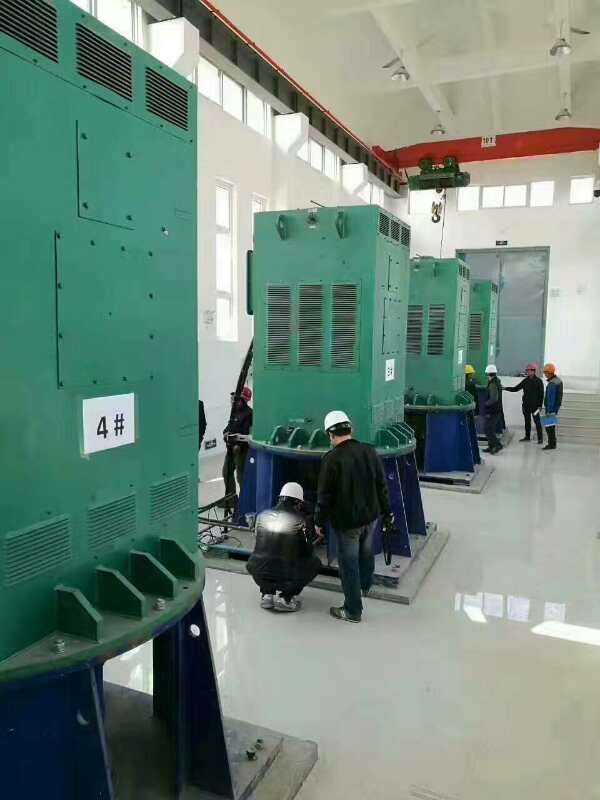 江海某污水处理厂使用我厂的立式高压电机安装现场生产厂家